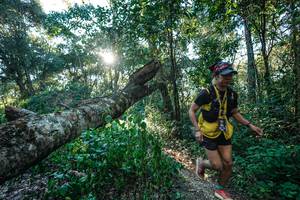 BIB: 
                            <button type="button" onclick="openModal(26729817)" class="btn btn-primary btn-sm float-right btn-popup" data-toggle="modal" data-target=".modal-high-quality">
                        <i class="fas fa-shopping-cart"></i> Add to Cart
                    </button>
                                            <button type="button" onclick="isThisMe(26729817, true)" class="btn btn-success btn-sm float-right btn-popup btn-isme hidden" data-toggle="tooltip" data-placement="bottom" title="นี่คือรูปของคุณใช่ไหม คลิกที่นี่เพื่อเอาเข้าอัลบั้ม">
                        <i class="fas fa-plus"></i> Add to album
                    </button>
                    <button type="button" onclick="isThisMe(26729817, false)" class="btn btn-warning btn-sm float-right btn-popup btn-isnotme hidden">
                        <i class="fas fa-ban"></i> Remove from album
                    </button>