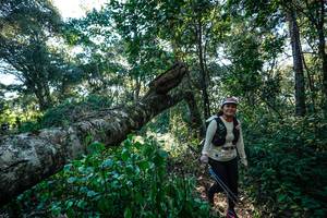 BIB: 
                            <button type="button" onclick="openModal(26729836)" class="btn btn-primary btn-sm float-right btn-popup" data-toggle="modal" data-target=".modal-high-quality">
                        <i class="fas fa-shopping-cart"></i> Add to Cart
                    </button>
                                            <button type="button" onclick="isThisMe(26729836, true)" class="btn btn-success btn-sm float-right btn-popup btn-isme hidden" data-toggle="tooltip" data-placement="bottom" title="นี่คือรูปของคุณใช่ไหม คลิกที่นี่เพื่อเอาเข้าอัลบั้ม">
                        <i class="fas fa-plus"></i> Add to album
                    </button>
                    <button type="button" onclick="isThisMe(26729836, false)" class="btn btn-warning btn-sm float-right btn-popup btn-isnotme hidden">
                        <i class="fas fa-ban"></i> Remove from album
                    </button>