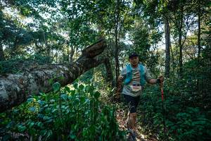 BIB: 
                            <button type="button" onclick="openModal(26729866)" class="btn btn-primary btn-sm float-right btn-popup" data-toggle="modal" data-target=".modal-high-quality">
                        <i class="fas fa-shopping-cart"></i> Add to Cart
                    </button>
                                            <button type="button" onclick="isThisMe(26729866, true)" class="btn btn-success btn-sm float-right btn-popup btn-isme hidden" data-toggle="tooltip" data-placement="bottom" title="นี่คือรูปของคุณใช่ไหม คลิกที่นี่เพื่อเอาเข้าอัลบั้ม">
                        <i class="fas fa-plus"></i> Add to album
                    </button>
                    <button type="button" onclick="isThisMe(26729866, false)" class="btn btn-warning btn-sm float-right btn-popup btn-isnotme hidden">
                        <i class="fas fa-ban"></i> Remove from album
                    </button>