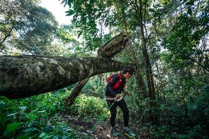 BIB: 
                            <button type="button" onclick="openModal(26729111)" class="btn btn-primary btn-sm float-right btn-popup" data-toggle="modal" data-target=".modal-high-quality">
                        <i class="fas fa-shopping-cart"></i> Add to Cart
                    </button>
                                            <button type="button" onclick="isThisMe(26729111, true)" class="btn btn-success btn-sm float-right btn-popup btn-isme hidden" data-toggle="tooltip" data-placement="bottom" title="นี่คือรูปของคุณใช่ไหม คลิกที่นี่เพื่อเอาเข้าอัลบั้ม">
                        <i class="fas fa-plus"></i> Add to album
                    </button>
                    <button type="button" onclick="isThisMe(26729111, false)" class="btn btn-warning btn-sm float-right btn-popup btn-isnotme hidden">
                        <i class="fas fa-ban"></i> Remove from album
                    </button>