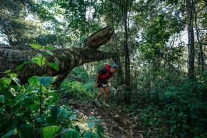 BIB: 
                            <button type="button" onclick="openModal(26729364)" class="btn btn-primary btn-sm float-right btn-popup" data-toggle="modal" data-target=".modal-high-quality">
                        <i class="fas fa-shopping-cart"></i> Add to Cart
                    </button>
                                            <button type="button" onclick="isThisMe(26729364, true)" class="btn btn-success btn-sm float-right btn-popup btn-isme hidden" data-toggle="tooltip" data-placement="bottom" title="นี่คือรูปของคุณใช่ไหม คลิกที่นี่เพื่อเอาเข้าอัลบั้ม">
                        <i class="fas fa-plus"></i> Add to album
                    </button>
                    <button type="button" onclick="isThisMe(26729364, false)" class="btn btn-warning btn-sm float-right btn-popup btn-isnotme hidden">
                        <i class="fas fa-ban"></i> Remove from album
                    </button>