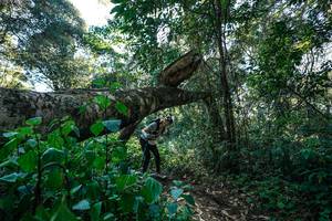 BIB: 
                            <button type="button" onclick="openModal(26729302)" class="btn btn-primary btn-sm float-right btn-popup" data-toggle="modal" data-target=".modal-high-quality">
                        <i class="fas fa-shopping-cart"></i> Add to Cart
                    </button>
                                            <button type="button" onclick="isThisMe(26729302, true)" class="btn btn-success btn-sm float-right btn-popup btn-isme hidden" data-toggle="tooltip" data-placement="bottom" title="นี่คือรูปของคุณใช่ไหม คลิกที่นี่เพื่อเอาเข้าอัลบั้ม">
                        <i class="fas fa-plus"></i> Add to album
                    </button>
                    <button type="button" onclick="isThisMe(26729302, false)" class="btn btn-warning btn-sm float-right btn-popup btn-isnotme hidden">
                        <i class="fas fa-ban"></i> Remove from album
                    </button>