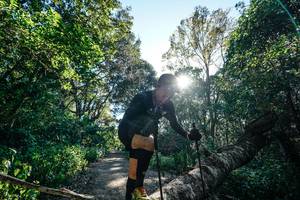 BIB: 
                            <button type="button" onclick="openModal(26729079)" class="btn btn-primary btn-sm float-right btn-popup" data-toggle="modal" data-target=".modal-high-quality">
                        <i class="fas fa-shopping-cart"></i> Add to Cart
                    </button>
                                            <button type="button" onclick="isThisMe(26729079, true)" class="btn btn-success btn-sm float-right btn-popup btn-isme hidden" data-toggle="tooltip" data-placement="bottom" title="นี่คือรูปของคุณใช่ไหม คลิกที่นี่เพื่อเอาเข้าอัลบั้ม">
                        <i class="fas fa-plus"></i> Add to album
                    </button>
                    <button type="button" onclick="isThisMe(26729079, false)" class="btn btn-warning btn-sm float-right btn-popup btn-isnotme hidden">
                        <i class="fas fa-ban"></i> Remove from album
                    </button>