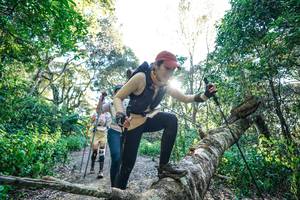 BIB: 
                            <button type="button" onclick="openModal(26729593)" class="btn btn-primary btn-sm float-right btn-popup" data-toggle="modal" data-target=".modal-high-quality">
                        <i class="fas fa-shopping-cart"></i> Add to Cart
                    </button>
                                            <button type="button" onclick="isThisMe(26729593, true)" class="btn btn-success btn-sm float-right btn-popup btn-isme hidden" data-toggle="tooltip" data-placement="bottom" title="นี่คือรูปของคุณใช่ไหม คลิกที่นี่เพื่อเอาเข้าอัลบั้ม">
                        <i class="fas fa-plus"></i> Add to album
                    </button>
                    <button type="button" onclick="isThisMe(26729593, false)" class="btn btn-warning btn-sm float-right btn-popup btn-isnotme hidden">
                        <i class="fas fa-ban"></i> Remove from album
                    </button>