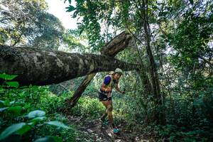 BIB: 
                            <button type="button" onclick="openModal(26729131)" class="btn btn-primary btn-sm float-right btn-popup" data-toggle="modal" data-target=".modal-high-quality">
                        <i class="fas fa-shopping-cart"></i> Add to Cart
                    </button>
                                            <button type="button" onclick="isThisMe(26729131, true)" class="btn btn-success btn-sm float-right btn-popup btn-isme hidden" data-toggle="tooltip" data-placement="bottom" title="นี่คือรูปของคุณใช่ไหม คลิกที่นี่เพื่อเอาเข้าอัลบั้ม">
                        <i class="fas fa-plus"></i> Add to album
                    </button>
                    <button type="button" onclick="isThisMe(26729131, false)" class="btn btn-warning btn-sm float-right btn-popup btn-isnotme hidden">
                        <i class="fas fa-ban"></i> Remove from album
                    </button>