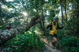 BIB: 
                            <button type="button" onclick="openModal(26729804)" class="btn btn-primary btn-sm float-right btn-popup" data-toggle="modal" data-target=".modal-high-quality">
                        <i class="fas fa-shopping-cart"></i> Add to Cart
                    </button>
                                            <button type="button" onclick="isThisMe(26729804, true)" class="btn btn-success btn-sm float-right btn-popup btn-isme hidden" data-toggle="tooltip" data-placement="bottom" title="นี่คือรูปของคุณใช่ไหม คลิกที่นี่เพื่อเอาเข้าอัลบั้ม">
                        <i class="fas fa-plus"></i> Add to album
                    </button>
                    <button type="button" onclick="isThisMe(26729804, false)" class="btn btn-warning btn-sm float-right btn-popup btn-isnotme hidden">
                        <i class="fas fa-ban"></i> Remove from album
                    </button>