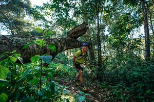 BIB: 
                            <button type="button" onclick="openModal(26729377)" class="btn btn-primary btn-sm float-right btn-popup" data-toggle="modal" data-target=".modal-high-quality">
                        <i class="fas fa-shopping-cart"></i> Add to Cart
                    </button>
                                            <button type="button" onclick="isThisMe(26729377, true)" class="btn btn-success btn-sm float-right btn-popup btn-isme hidden" data-toggle="tooltip" data-placement="bottom" title="นี่คือรูปของคุณใช่ไหม คลิกที่นี่เพื่อเอาเข้าอัลบั้ม">
                        <i class="fas fa-plus"></i> Add to album
                    </button>
                    <button type="button" onclick="isThisMe(26729377, false)" class="btn btn-warning btn-sm float-right btn-popup btn-isnotme hidden">
                        <i class="fas fa-ban"></i> Remove from album
                    </button>