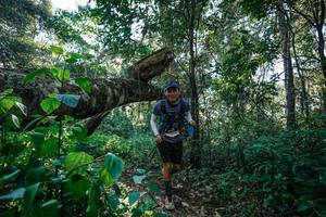 BIB: 
                            <button type="button" onclick="openModal(26729393)" class="btn btn-primary btn-sm float-right btn-popup" data-toggle="modal" data-target=".modal-high-quality">
                        <i class="fas fa-shopping-cart"></i> Add to Cart
                    </button>
                                            <button type="button" onclick="isThisMe(26729393, true)" class="btn btn-success btn-sm float-right btn-popup btn-isme hidden" data-toggle="tooltip" data-placement="bottom" title="นี่คือรูปของคุณใช่ไหม คลิกที่นี่เพื่อเอาเข้าอัลบั้ม">
                        <i class="fas fa-plus"></i> Add to album
                    </button>
                    <button type="button" onclick="isThisMe(26729393, false)" class="btn btn-warning btn-sm float-right btn-popup btn-isnotme hidden">
                        <i class="fas fa-ban"></i> Remove from album
                    </button>