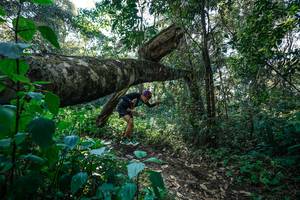 BIB: 
                            <button type="button" onclick="openModal(26729321)" class="btn btn-primary btn-sm float-right btn-popup" data-toggle="modal" data-target=".modal-high-quality">
                        <i class="fas fa-shopping-cart"></i> Add to Cart
                    </button>
                                            <button type="button" onclick="isThisMe(26729321, true)" class="btn btn-success btn-sm float-right btn-popup btn-isme hidden" data-toggle="tooltip" data-placement="bottom" title="นี่คือรูปของคุณใช่ไหม คลิกที่นี่เพื่อเอาเข้าอัลบั้ม">
                        <i class="fas fa-plus"></i> Add to album
                    </button>
                    <button type="button" onclick="isThisMe(26729321, false)" class="btn btn-warning btn-sm float-right btn-popup btn-isnotme hidden">
                        <i class="fas fa-ban"></i> Remove from album
                    </button>