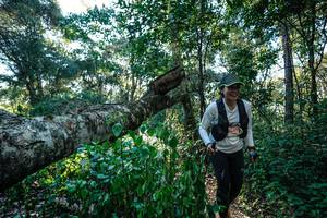 BIB: 
                            <button type="button" onclick="openModal(26729900)" class="btn btn-primary btn-sm float-right btn-popup" data-toggle="modal" data-target=".modal-high-quality">
                        <i class="fas fa-shopping-cart"></i> Add to Cart
                    </button>
                                            <button type="button" onclick="isThisMe(26729900, true)" class="btn btn-success btn-sm float-right btn-popup btn-isme hidden" data-toggle="tooltip" data-placement="bottom" title="นี่คือรูปของคุณใช่ไหม คลิกที่นี่เพื่อเอาเข้าอัลบั้ม">
                        <i class="fas fa-plus"></i> Add to album
                    </button>
                    <button type="button" onclick="isThisMe(26729900, false)" class="btn btn-warning btn-sm float-right btn-popup btn-isnotme hidden">
                        <i class="fas fa-ban"></i> Remove from album
                    </button>