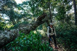 BIB: 
                            <button type="button" onclick="openModal(26729833)" class="btn btn-primary btn-sm float-right btn-popup" data-toggle="modal" data-target=".modal-high-quality">
                        <i class="fas fa-shopping-cart"></i> Add to Cart
                    </button>
                                            <button type="button" onclick="isThisMe(26729833, true)" class="btn btn-success btn-sm float-right btn-popup btn-isme hidden" data-toggle="tooltip" data-placement="bottom" title="นี่คือรูปของคุณใช่ไหม คลิกที่นี่เพื่อเอาเข้าอัลบั้ม">
                        <i class="fas fa-plus"></i> Add to album
                    </button>
                    <button type="button" onclick="isThisMe(26729833, false)" class="btn btn-warning btn-sm float-right btn-popup btn-isnotme hidden">
                        <i class="fas fa-ban"></i> Remove from album
                    </button>