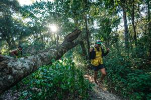 BIB: 
                            <button type="button" onclick="openModal(26729801)" class="btn btn-primary btn-sm float-right btn-popup" data-toggle="modal" data-target=".modal-high-quality">
                        <i class="fas fa-shopping-cart"></i> Add to Cart
                    </button>
                                            <button type="button" onclick="isThisMe(26729801, true)" class="btn btn-success btn-sm float-right btn-popup btn-isme hidden" data-toggle="tooltip" data-placement="bottom" title="นี่คือรูปของคุณใช่ไหม คลิกที่นี่เพื่อเอาเข้าอัลบั้ม">
                        <i class="fas fa-plus"></i> Add to album
                    </button>
                    <button type="button" onclick="isThisMe(26729801, false)" class="btn btn-warning btn-sm float-right btn-popup btn-isnotme hidden">
                        <i class="fas fa-ban"></i> Remove from album
                    </button>