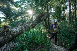 BIB: 
                            <button type="button" onclick="openModal(26729794)" class="btn btn-primary btn-sm float-right btn-popup" data-toggle="modal" data-target=".modal-high-quality">
                        <i class="fas fa-shopping-cart"></i> Add to Cart
                    </button>
                                            <button type="button" onclick="isThisMe(26729794, true)" class="btn btn-success btn-sm float-right btn-popup btn-isme hidden" data-toggle="tooltip" data-placement="bottom" title="นี่คือรูปของคุณใช่ไหม คลิกที่นี่เพื่อเอาเข้าอัลบั้ม">
                        <i class="fas fa-plus"></i> Add to album
                    </button>
                    <button type="button" onclick="isThisMe(26729794, false)" class="btn btn-warning btn-sm float-right btn-popup btn-isnotme hidden">
                        <i class="fas fa-ban"></i> Remove from album
                    </button>