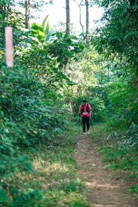 BIB: 
                            <button type="button" onclick="openModal(26711864)" class="btn btn-primary btn-sm float-right btn-popup" data-toggle="modal" data-target=".modal-high-quality">
                        <i class="fas fa-shopping-cart"></i> Add to Cart
                    </button>
                                            <button type="button" onclick="isThisMe(26711864, true)" class="btn btn-success btn-sm float-right btn-popup btn-isme hidden" data-toggle="tooltip" data-placement="bottom" title="นี่คือรูปของคุณใช่ไหม คลิกที่นี่เพื่อเอาเข้าอัลบั้ม">
                        <i class="fas fa-plus"></i> Add to album
                    </button>
                    <button type="button" onclick="isThisMe(26711864, false)" class="btn btn-warning btn-sm float-right btn-popup btn-isnotme hidden">
                        <i class="fas fa-ban"></i> Remove from album
                    </button>