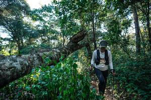 BIB: 
                            <button type="button" onclick="openModal(26729896)" class="btn btn-primary btn-sm float-right btn-popup" data-toggle="modal" data-target=".modal-high-quality">
                        <i class="fas fa-shopping-cart"></i> Add to Cart
                    </button>
                                            <button type="button" onclick="isThisMe(26729896, true)" class="btn btn-success btn-sm float-right btn-popup btn-isme hidden" data-toggle="tooltip" data-placement="bottom" title="นี่คือรูปของคุณใช่ไหม คลิกที่นี่เพื่อเอาเข้าอัลบั้ม">
                        <i class="fas fa-plus"></i> Add to album
                    </button>
                    <button type="button" onclick="isThisMe(26729896, false)" class="btn btn-warning btn-sm float-right btn-popup btn-isnotme hidden">
                        <i class="fas fa-ban"></i> Remove from album
                    </button>