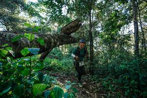 BIB: 
                            <button type="button" onclick="openModal(26729387)" class="btn btn-primary btn-sm float-right btn-popup" data-toggle="modal" data-target=".modal-high-quality">
                        <i class="fas fa-shopping-cart"></i> Add to Cart
                    </button>
                                            <button type="button" onclick="isThisMe(26729387, true)" class="btn btn-success btn-sm float-right btn-popup btn-isme hidden" data-toggle="tooltip" data-placement="bottom" title="นี่คือรูปของคุณใช่ไหม คลิกที่นี่เพื่อเอาเข้าอัลบั้ม">
                        <i class="fas fa-plus"></i> Add to album
                    </button>
                    <button type="button" onclick="isThisMe(26729387, false)" class="btn btn-warning btn-sm float-right btn-popup btn-isnotme hidden">
                        <i class="fas fa-ban"></i> Remove from album
                    </button>