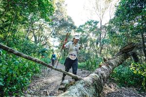 BIB: 
                            <button type="button" onclick="openModal(26729539)" class="btn btn-primary btn-sm float-right btn-popup" data-toggle="modal" data-target=".modal-high-quality">
                        <i class="fas fa-shopping-cart"></i> Add to Cart
                    </button>
                                            <button type="button" onclick="isThisMe(26729539, true)" class="btn btn-success btn-sm float-right btn-popup btn-isme hidden" data-toggle="tooltip" data-placement="bottom" title="นี่คือรูปของคุณใช่ไหม คลิกที่นี่เพื่อเอาเข้าอัลบั้ม">
                        <i class="fas fa-plus"></i> Add to album
                    </button>
                    <button type="button" onclick="isThisMe(26729539, false)" class="btn btn-warning btn-sm float-right btn-popup btn-isnotme hidden">
                        <i class="fas fa-ban"></i> Remove from album
                    </button>