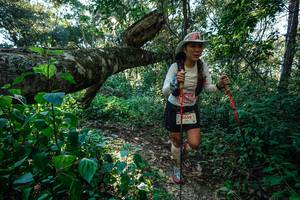 BIB: 
                            <button type="button" onclick="openModal(26729416)" class="btn btn-primary btn-sm float-right btn-popup" data-toggle="modal" data-target=".modal-high-quality">
                        <i class="fas fa-shopping-cart"></i> Add to Cart
                    </button>
                                            <button type="button" onclick="isThisMe(26729416, true)" class="btn btn-success btn-sm float-right btn-popup btn-isme hidden" data-toggle="tooltip" data-placement="bottom" title="นี่คือรูปของคุณใช่ไหม คลิกที่นี่เพื่อเอาเข้าอัลบั้ม">
                        <i class="fas fa-plus"></i> Add to album
                    </button>
                    <button type="button" onclick="isThisMe(26729416, false)" class="btn btn-warning btn-sm float-right btn-popup btn-isnotme hidden">
                        <i class="fas fa-ban"></i> Remove from album
                    </button>