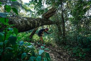 BIB: 
                            <button type="button" onclick="openModal(26729323)" class="btn btn-primary btn-sm float-right btn-popup" data-toggle="modal" data-target=".modal-high-quality">
                        <i class="fas fa-shopping-cart"></i> Add to Cart
                    </button>
                                            <button type="button" onclick="isThisMe(26729323, true)" class="btn btn-success btn-sm float-right btn-popup btn-isme hidden" data-toggle="tooltip" data-placement="bottom" title="นี่คือรูปของคุณใช่ไหม คลิกที่นี่เพื่อเอาเข้าอัลบั้ม">
                        <i class="fas fa-plus"></i> Add to album
                    </button>
                    <button type="button" onclick="isThisMe(26729323, false)" class="btn btn-warning btn-sm float-right btn-popup btn-isnotme hidden">
                        <i class="fas fa-ban"></i> Remove from album
                    </button>