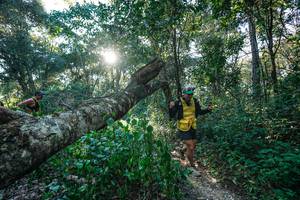 BIB: 
                            <button type="button" onclick="openModal(26729798)" class="btn btn-primary btn-sm float-right btn-popup" data-toggle="modal" data-target=".modal-high-quality">
                        <i class="fas fa-shopping-cart"></i> Add to Cart
                    </button>
                                            <button type="button" onclick="isThisMe(26729798, true)" class="btn btn-success btn-sm float-right btn-popup btn-isme hidden" data-toggle="tooltip" data-placement="bottom" title="นี่คือรูปของคุณใช่ไหม คลิกที่นี่เพื่อเอาเข้าอัลบั้ม">
                        <i class="fas fa-plus"></i> Add to album
                    </button>
                    <button type="button" onclick="isThisMe(26729798, false)" class="btn btn-warning btn-sm float-right btn-popup btn-isnotme hidden">
                        <i class="fas fa-ban"></i> Remove from album
                    </button>