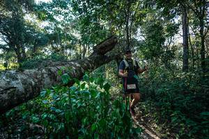 BIB: 
                            <button type="button" onclick="openModal(26729844)" class="btn btn-primary btn-sm float-right btn-popup" data-toggle="modal" data-target=".modal-high-quality">
                        <i class="fas fa-shopping-cart"></i> Add to Cart
                    </button>
                                            <button type="button" onclick="isThisMe(26729844, true)" class="btn btn-success btn-sm float-right btn-popup btn-isme hidden" data-toggle="tooltip" data-placement="bottom" title="นี่คือรูปของคุณใช่ไหม คลิกที่นี่เพื่อเอาเข้าอัลบั้ม">
                        <i class="fas fa-plus"></i> Add to album
                    </button>
                    <button type="button" onclick="isThisMe(26729844, false)" class="btn btn-warning btn-sm float-right btn-popup btn-isnotme hidden">
                        <i class="fas fa-ban"></i> Remove from album
                    </button>