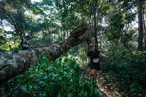 BIB: 
                            <button type="button" onclick="openModal(26729839)" class="btn btn-primary btn-sm float-right btn-popup" data-toggle="modal" data-target=".modal-high-quality">
                        <i class="fas fa-shopping-cart"></i> Add to Cart
                    </button>
                                            <button type="button" onclick="isThisMe(26729839, true)" class="btn btn-success btn-sm float-right btn-popup btn-isme hidden" data-toggle="tooltip" data-placement="bottom" title="นี่คือรูปของคุณใช่ไหม คลิกที่นี่เพื่อเอาเข้าอัลบั้ม">
                        <i class="fas fa-plus"></i> Add to album
                    </button>
                    <button type="button" onclick="isThisMe(26729839, false)" class="btn btn-warning btn-sm float-right btn-popup btn-isnotme hidden">
                        <i class="fas fa-ban"></i> Remove from album
                    </button>