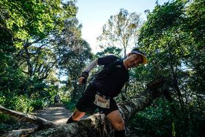 BIB: 
                            <button type="button" onclick="openModal(26728895)" class="btn btn-primary btn-sm float-right btn-popup" data-toggle="modal" data-target=".modal-high-quality">
                        <i class="fas fa-shopping-cart"></i> Add to Cart
                    </button>
                                            <button type="button" onclick="isThisMe(26728895, true)" class="btn btn-success btn-sm float-right btn-popup btn-isme hidden" data-toggle="tooltip" data-placement="bottom" title="นี่คือรูปของคุณใช่ไหม คลิกที่นี่เพื่อเอาเข้าอัลบั้ม">
                        <i class="fas fa-plus"></i> Add to album
                    </button>
                    <button type="button" onclick="isThisMe(26728895, false)" class="btn btn-warning btn-sm float-right btn-popup btn-isnotme hidden">
                        <i class="fas fa-ban"></i> Remove from album
                    </button>