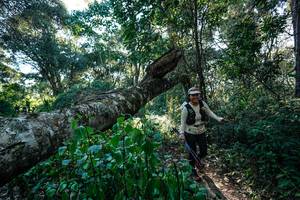 BIB: 
                            <button type="button" onclick="openModal(26729832)" class="btn btn-primary btn-sm float-right btn-popup" data-toggle="modal" data-target=".modal-high-quality">
                        <i class="fas fa-shopping-cart"></i> Add to Cart
                    </button>
                                            <button type="button" onclick="isThisMe(26729832, true)" class="btn btn-success btn-sm float-right btn-popup btn-isme hidden" data-toggle="tooltip" data-placement="bottom" title="นี่คือรูปของคุณใช่ไหม คลิกที่นี่เพื่อเอาเข้าอัลบั้ม">
                        <i class="fas fa-plus"></i> Add to album
                    </button>
                    <button type="button" onclick="isThisMe(26729832, false)" class="btn btn-warning btn-sm float-right btn-popup btn-isnotme hidden">
                        <i class="fas fa-ban"></i> Remove from album
                    </button>