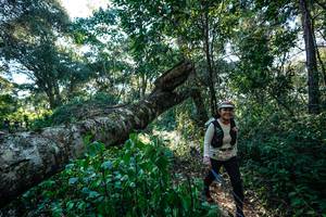 BIB: 
                            <button type="button" onclick="openModal(26729835)" class="btn btn-primary btn-sm float-right btn-popup" data-toggle="modal" data-target=".modal-high-quality">
                        <i class="fas fa-shopping-cart"></i> Add to Cart
                    </button>
                                            <button type="button" onclick="isThisMe(26729835, true)" class="btn btn-success btn-sm float-right btn-popup btn-isme hidden" data-toggle="tooltip" data-placement="bottom" title="นี่คือรูปของคุณใช่ไหม คลิกที่นี่เพื่อเอาเข้าอัลบั้ม">
                        <i class="fas fa-plus"></i> Add to album
                    </button>
                    <button type="button" onclick="isThisMe(26729835, false)" class="btn btn-warning btn-sm float-right btn-popup btn-isnotme hidden">
                        <i class="fas fa-ban"></i> Remove from album
                    </button>