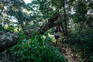 BIB: 
                            <button type="button" onclick="openModal(26729881)" class="btn btn-primary btn-sm float-right btn-popup" data-toggle="modal" data-target=".modal-high-quality">
                        <i class="fas fa-shopping-cart"></i> Add to Cart
                    </button>
                                            <button type="button" onclick="isThisMe(26729881, true)" class="btn btn-success btn-sm float-right btn-popup btn-isme hidden" data-toggle="tooltip" data-placement="bottom" title="นี่คือรูปของคุณใช่ไหม คลิกที่นี่เพื่อเอาเข้าอัลบั้ม">
                        <i class="fas fa-plus"></i> Add to album
                    </button>
                    <button type="button" onclick="isThisMe(26729881, false)" class="btn btn-warning btn-sm float-right btn-popup btn-isnotme hidden">
                        <i class="fas fa-ban"></i> Remove from album
                    </button>