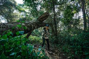 BIB: 
                            <button type="button" onclick="openModal(26729301)" class="btn btn-primary btn-sm float-right btn-popup" data-toggle="modal" data-target=".modal-high-quality">
                        <i class="fas fa-shopping-cart"></i> Add to Cart
                    </button>
                                            <button type="button" onclick="isThisMe(26729301, true)" class="btn btn-success btn-sm float-right btn-popup btn-isme hidden" data-toggle="tooltip" data-placement="bottom" title="นี่คือรูปของคุณใช่ไหม คลิกที่นี่เพื่อเอาเข้าอัลบั้ม">
                        <i class="fas fa-plus"></i> Add to album
                    </button>
                    <button type="button" onclick="isThisMe(26729301, false)" class="btn btn-warning btn-sm float-right btn-popup btn-isnotme hidden">
                        <i class="fas fa-ban"></i> Remove from album
                    </button>