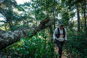 BIB: 
                            <button type="button" onclick="openModal(26729899)" class="btn btn-primary btn-sm float-right btn-popup" data-toggle="modal" data-target=".modal-high-quality">
                        <i class="fas fa-shopping-cart"></i> Add to Cart
                    </button>
                                            <button type="button" onclick="isThisMe(26729899, true)" class="btn btn-success btn-sm float-right btn-popup btn-isme hidden" data-toggle="tooltip" data-placement="bottom" title="นี่คือรูปของคุณใช่ไหม คลิกที่นี่เพื่อเอาเข้าอัลบั้ม">
                        <i class="fas fa-plus"></i> Add to album
                    </button>
                    <button type="button" onclick="isThisMe(26729899, false)" class="btn btn-warning btn-sm float-right btn-popup btn-isnotme hidden">
                        <i class="fas fa-ban"></i> Remove from album
                    </button>