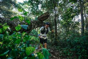 BIB: 
                            <button type="button" onclick="openModal(26729408)" class="btn btn-primary btn-sm float-right btn-popup" data-toggle="modal" data-target=".modal-high-quality">
                        <i class="fas fa-shopping-cart"></i> Add to Cart
                    </button>
                                            <button type="button" onclick="isThisMe(26729408, true)" class="btn btn-success btn-sm float-right btn-popup btn-isme hidden" data-toggle="tooltip" data-placement="bottom" title="นี่คือรูปของคุณใช่ไหม คลิกที่นี่เพื่อเอาเข้าอัลบั้ม">
                        <i class="fas fa-plus"></i> Add to album
                    </button>
                    <button type="button" onclick="isThisMe(26729408, false)" class="btn btn-warning btn-sm float-right btn-popup btn-isnotme hidden">
                        <i class="fas fa-ban"></i> Remove from album
                    </button>