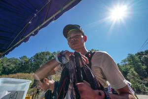 BIB: 
                            <button type="button" onclick="openModal(26716253)" class="btn btn-primary btn-sm float-right btn-popup" data-toggle="modal" data-target=".modal-high-quality">
                        <i class="fas fa-shopping-cart"></i> Add to Cart
                    </button>
                                            <button type="button" onclick="isThisMe(26716253, true)" class="btn btn-success btn-sm float-right btn-popup btn-isme hidden" data-toggle="tooltip" data-placement="bottom" title="นี่คือรูปของคุณใช่ไหม คลิกที่นี่เพื่อเอาเข้าอัลบั้ม">
                        <i class="fas fa-plus"></i> Add to album
                    </button>
                    <button type="button" onclick="isThisMe(26716253, false)" class="btn btn-warning btn-sm float-right btn-popup btn-isnotme hidden">
                        <i class="fas fa-ban"></i> Remove from album
                    </button>