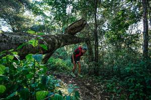 BIB: 
                            <button type="button" onclick="openModal(26729363)" class="btn btn-primary btn-sm float-right btn-popup" data-toggle="modal" data-target=".modal-high-quality">
                        <i class="fas fa-shopping-cart"></i> Add to Cart
                    </button>
                                            <button type="button" onclick="isThisMe(26729363, true)" class="btn btn-success btn-sm float-right btn-popup btn-isme hidden" data-toggle="tooltip" data-placement="bottom" title="นี่คือรูปของคุณใช่ไหม คลิกที่นี่เพื่อเอาเข้าอัลบั้ม">
                        <i class="fas fa-plus"></i> Add to album
                    </button>
                    <button type="button" onclick="isThisMe(26729363, false)" class="btn btn-warning btn-sm float-right btn-popup btn-isnotme hidden">
                        <i class="fas fa-ban"></i> Remove from album
                    </button>