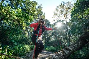 BIB: 
                            <button type="button" onclick="openModal(26729186)" class="btn btn-primary btn-sm float-right btn-popup" data-toggle="modal" data-target=".modal-high-quality">
                        <i class="fas fa-shopping-cart"></i> Add to Cart
                    </button>
                                            <button type="button" onclick="isThisMe(26729186, true)" class="btn btn-success btn-sm float-right btn-popup btn-isme hidden" data-toggle="tooltip" data-placement="bottom" title="นี่คือรูปของคุณใช่ไหม คลิกที่นี่เพื่อเอาเข้าอัลบั้ม">
                        <i class="fas fa-plus"></i> Add to album
                    </button>
                    <button type="button" onclick="isThisMe(26729186, false)" class="btn btn-warning btn-sm float-right btn-popup btn-isnotme hidden">
                        <i class="fas fa-ban"></i> Remove from album
                    </button>