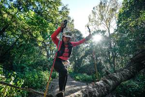 BIB: 
                            <button type="button" onclick="openModal(26729172)" class="btn btn-primary btn-sm float-right btn-popup" data-toggle="modal" data-target=".modal-high-quality">
                        <i class="fas fa-shopping-cart"></i> Add to Cart
                    </button>
                                            <button type="button" onclick="isThisMe(26729172, true)" class="btn btn-success btn-sm float-right btn-popup btn-isme hidden" data-toggle="tooltip" data-placement="bottom" title="นี่คือรูปของคุณใช่ไหม คลิกที่นี่เพื่อเอาเข้าอัลบั้ม">
                        <i class="fas fa-plus"></i> Add to album
                    </button>
                    <button type="button" onclick="isThisMe(26729172, false)" class="btn btn-warning btn-sm float-right btn-popup btn-isnotme hidden">
                        <i class="fas fa-ban"></i> Remove from album
                    </button>