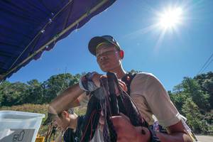 BIB: 
                            <button type="button" onclick="openModal(26716249)" class="btn btn-primary btn-sm float-right btn-popup" data-toggle="modal" data-target=".modal-high-quality">
                        <i class="fas fa-shopping-cart"></i> Add to Cart
                    </button>
                                            <button type="button" onclick="isThisMe(26716249, true)" class="btn btn-success btn-sm float-right btn-popup btn-isme hidden" data-toggle="tooltip" data-placement="bottom" title="นี่คือรูปของคุณใช่ไหม คลิกที่นี่เพื่อเอาเข้าอัลบั้ม">
                        <i class="fas fa-plus"></i> Add to album
                    </button>
                    <button type="button" onclick="isThisMe(26716249, false)" class="btn btn-warning btn-sm float-right btn-popup btn-isnotme hidden">
                        <i class="fas fa-ban"></i> Remove from album
                    </button>