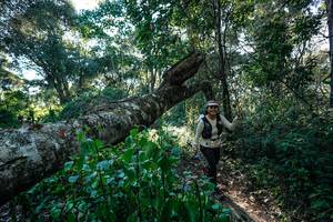 BIB: 
                            <button type="button" onclick="openModal(26729831)" class="btn btn-primary btn-sm float-right btn-popup" data-toggle="modal" data-target=".modal-high-quality">
                        <i class="fas fa-shopping-cart"></i> Add to Cart
                    </button>
                                            <button type="button" onclick="isThisMe(26729831, true)" class="btn btn-success btn-sm float-right btn-popup btn-isme hidden" data-toggle="tooltip" data-placement="bottom" title="นี่คือรูปของคุณใช่ไหม คลิกที่นี่เพื่อเอาเข้าอัลบั้ม">
                        <i class="fas fa-plus"></i> Add to album
                    </button>
                    <button type="button" onclick="isThisMe(26729831, false)" class="btn btn-warning btn-sm float-right btn-popup btn-isnotme hidden">
                        <i class="fas fa-ban"></i> Remove from album
                    </button>