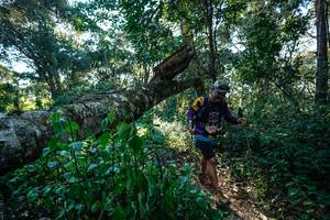 BIB: 
                            <button type="button" onclick="openModal(26729873)" class="btn btn-primary btn-sm float-right btn-popup" data-toggle="modal" data-target=".modal-high-quality">
                        <i class="fas fa-shopping-cart"></i> Add to Cart
                    </button>
                                            <button type="button" onclick="isThisMe(26729873, true)" class="btn btn-success btn-sm float-right btn-popup btn-isme hidden" data-toggle="tooltip" data-placement="bottom" title="นี่คือรูปของคุณใช่ไหม คลิกที่นี่เพื่อเอาเข้าอัลบั้ม">
                        <i class="fas fa-plus"></i> Add to album
                    </button>
                    <button type="button" onclick="isThisMe(26729873, false)" class="btn btn-warning btn-sm float-right btn-popup btn-isnotme hidden">
                        <i class="fas fa-ban"></i> Remove from album
                    </button>