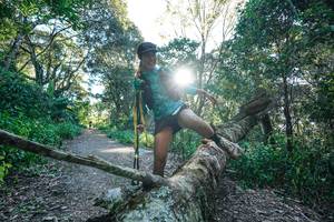 BIB: 
                            <button type="button" onclick="openModal(26729732)" class="btn btn-primary btn-sm float-right btn-popup" data-toggle="modal" data-target=".modal-high-quality">
                        <i class="fas fa-shopping-cart"></i> Add to Cart
                    </button>
                                            <button type="button" onclick="isThisMe(26729732, true)" class="btn btn-success btn-sm float-right btn-popup btn-isme hidden" data-toggle="tooltip" data-placement="bottom" title="นี่คือรูปของคุณใช่ไหม คลิกที่นี่เพื่อเอาเข้าอัลบั้ม">
                        <i class="fas fa-plus"></i> Add to album
                    </button>
                    <button type="button" onclick="isThisMe(26729732, false)" class="btn btn-warning btn-sm float-right btn-popup btn-isnotme hidden">
                        <i class="fas fa-ban"></i> Remove from album
                    </button>