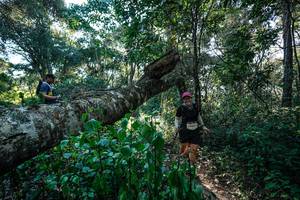 BIB: 
                            <button type="button" onclick="openModal(26729838)" class="btn btn-primary btn-sm float-right btn-popup" data-toggle="modal" data-target=".modal-high-quality">
                        <i class="fas fa-shopping-cart"></i> Add to Cart
                    </button>
                                            <button type="button" onclick="isThisMe(26729838, true)" class="btn btn-success btn-sm float-right btn-popup btn-isme hidden" data-toggle="tooltip" data-placement="bottom" title="นี่คือรูปของคุณใช่ไหม คลิกที่นี่เพื่อเอาเข้าอัลบั้ม">
                        <i class="fas fa-plus"></i> Add to album
                    </button>
                    <button type="button" onclick="isThisMe(26729838, false)" class="btn btn-warning btn-sm float-right btn-popup btn-isnotme hidden">
                        <i class="fas fa-ban"></i> Remove from album
                    </button>