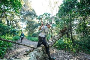 BIB: 
                            <button type="button" onclick="openModal(26729541)" class="btn btn-primary btn-sm float-right btn-popup" data-toggle="modal" data-target=".modal-high-quality">
                        <i class="fas fa-shopping-cart"></i> Add to Cart
                    </button>
                                            <button type="button" onclick="isThisMe(26729541, true)" class="btn btn-success btn-sm float-right btn-popup btn-isme hidden" data-toggle="tooltip" data-placement="bottom" title="นี่คือรูปของคุณใช่ไหม คลิกที่นี่เพื่อเอาเข้าอัลบั้ม">
                        <i class="fas fa-plus"></i> Add to album
                    </button>
                    <button type="button" onclick="isThisMe(26729541, false)" class="btn btn-warning btn-sm float-right btn-popup btn-isnotme hidden">
                        <i class="fas fa-ban"></i> Remove from album
                    </button>