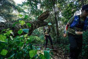 BIB: 
                            <button type="button" onclick="openModal(26729350)" class="btn btn-primary btn-sm float-right btn-popup" data-toggle="modal" data-target=".modal-high-quality">
                        <i class="fas fa-shopping-cart"></i> Add to Cart
                    </button>
                                            <button type="button" onclick="isThisMe(26729350, true)" class="btn btn-success btn-sm float-right btn-popup btn-isme hidden" data-toggle="tooltip" data-placement="bottom" title="นี่คือรูปของคุณใช่ไหม คลิกที่นี่เพื่อเอาเข้าอัลบั้ม">
                        <i class="fas fa-plus"></i> Add to album
                    </button>
                    <button type="button" onclick="isThisMe(26729350, false)" class="btn btn-warning btn-sm float-right btn-popup btn-isnotme hidden">
                        <i class="fas fa-ban"></i> Remove from album
                    </button>