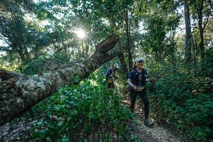 BIB: 
                            <button type="button" onclick="openModal(26729793)" class="btn btn-primary btn-sm float-right btn-popup" data-toggle="modal" data-target=".modal-high-quality">
                        <i class="fas fa-shopping-cart"></i> Add to Cart
                    </button>
                                            <button type="button" onclick="isThisMe(26729793, true)" class="btn btn-success btn-sm float-right btn-popup btn-isme hidden" data-toggle="tooltip" data-placement="bottom" title="นี่คือรูปของคุณใช่ไหม คลิกที่นี่เพื่อเอาเข้าอัลบั้ม">
                        <i class="fas fa-plus"></i> Add to album
                    </button>
                    <button type="button" onclick="isThisMe(26729793, false)" class="btn btn-warning btn-sm float-right btn-popup btn-isnotme hidden">
                        <i class="fas fa-ban"></i> Remove from album
                    </button>