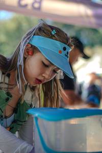 BIB: 
                            <button type="button" onclick="openModal(26726494)" class="btn btn-primary btn-sm float-right btn-popup" data-toggle="modal" data-target=".modal-high-quality">
                        <i class="fas fa-shopping-cart"></i> Add to Cart
                    </button>
                                            <button type="button" onclick="isThisMe(26726494, true)" class="btn btn-success btn-sm float-right btn-popup btn-isme hidden" data-toggle="tooltip" data-placement="bottom" title="นี่คือรูปของคุณใช่ไหม คลิกที่นี่เพื่อเอาเข้าอัลบั้ม">
                        <i class="fas fa-plus"></i> Add to album
                    </button>
                    <button type="button" onclick="isThisMe(26726494, false)" class="btn btn-warning btn-sm float-right btn-popup btn-isnotme hidden">
                        <i class="fas fa-ban"></i> Remove from album
                    </button>