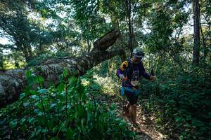 BIB: 
                            <button type="button" onclick="openModal(26729875)" class="btn btn-primary btn-sm float-right btn-popup" data-toggle="modal" data-target=".modal-high-quality">
                        <i class="fas fa-shopping-cart"></i> Add to Cart
                    </button>
                                            <button type="button" onclick="isThisMe(26729875, true)" class="btn btn-success btn-sm float-right btn-popup btn-isme hidden" data-toggle="tooltip" data-placement="bottom" title="นี่คือรูปของคุณใช่ไหม คลิกที่นี่เพื่อเอาเข้าอัลบั้ม">
                        <i class="fas fa-plus"></i> Add to album
                    </button>
                    <button type="button" onclick="isThisMe(26729875, false)" class="btn btn-warning btn-sm float-right btn-popup btn-isnotme hidden">
                        <i class="fas fa-ban"></i> Remove from album
                    </button>