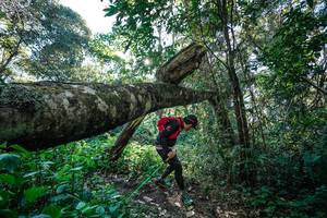 BIB: 
                            <button type="button" onclick="openModal(26729103)" class="btn btn-primary btn-sm float-right btn-popup" data-toggle="modal" data-target=".modal-high-quality">
                        <i class="fas fa-shopping-cart"></i> Add to Cart
                    </button>
                                            <button type="button" onclick="isThisMe(26729103, true)" class="btn btn-success btn-sm float-right btn-popup btn-isme hidden" data-toggle="tooltip" data-placement="bottom" title="นี่คือรูปของคุณใช่ไหม คลิกที่นี่เพื่อเอาเข้าอัลบั้ม">
                        <i class="fas fa-plus"></i> Add to album
                    </button>
                    <button type="button" onclick="isThisMe(26729103, false)" class="btn btn-warning btn-sm float-right btn-popup btn-isnotme hidden">
                        <i class="fas fa-ban"></i> Remove from album
                    </button>