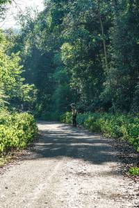 BIB: 
                            <button type="button" onclick="openModal(26711893)" class="btn btn-primary btn-sm float-right btn-popup" data-toggle="modal" data-target=".modal-high-quality">
                        <i class="fas fa-shopping-cart"></i> Add to Cart
                    </button>
                                            <button type="button" onclick="isThisMe(26711893, true)" class="btn btn-success btn-sm float-right btn-popup btn-isme hidden" data-toggle="tooltip" data-placement="bottom" title="นี่คือรูปของคุณใช่ไหม คลิกที่นี่เพื่อเอาเข้าอัลบั้ม">
                        <i class="fas fa-plus"></i> Add to album
                    </button>
                    <button type="button" onclick="isThisMe(26711893, false)" class="btn btn-warning btn-sm float-right btn-popup btn-isnotme hidden">
                        <i class="fas fa-ban"></i> Remove from album
                    </button>