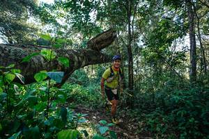 BIB: 
                            <button type="button" onclick="openModal(26729381)" class="btn btn-primary btn-sm float-right btn-popup" data-toggle="modal" data-target=".modal-high-quality">
                        <i class="fas fa-shopping-cart"></i> Add to Cart
                    </button>
                                            <button type="button" onclick="isThisMe(26729381, true)" class="btn btn-success btn-sm float-right btn-popup btn-isme hidden" data-toggle="tooltip" data-placement="bottom" title="นี่คือรูปของคุณใช่ไหม คลิกที่นี่เพื่อเอาเข้าอัลบั้ม">
                        <i class="fas fa-plus"></i> Add to album
                    </button>
                    <button type="button" onclick="isThisMe(26729381, false)" class="btn btn-warning btn-sm float-right btn-popup btn-isnotme hidden">
                        <i class="fas fa-ban"></i> Remove from album
                    </button>